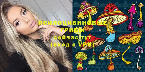 эйфоретик Алексин