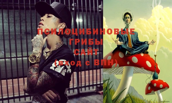 эйфоретик Алексин