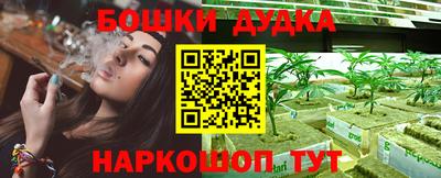 ПСИЛОЦИБИНОВЫЕ ГРИБЫ Нарткала