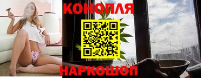 гашик Новокубанск