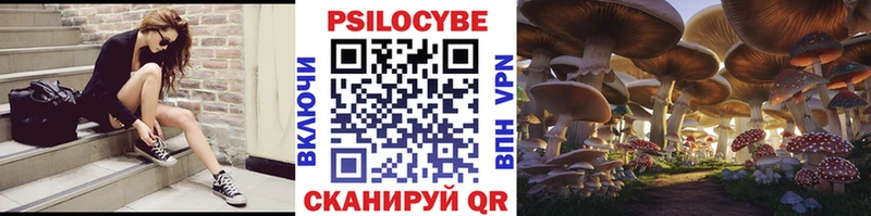 Псилоцибиновые грибы Psilocybe  цена   Строитель 