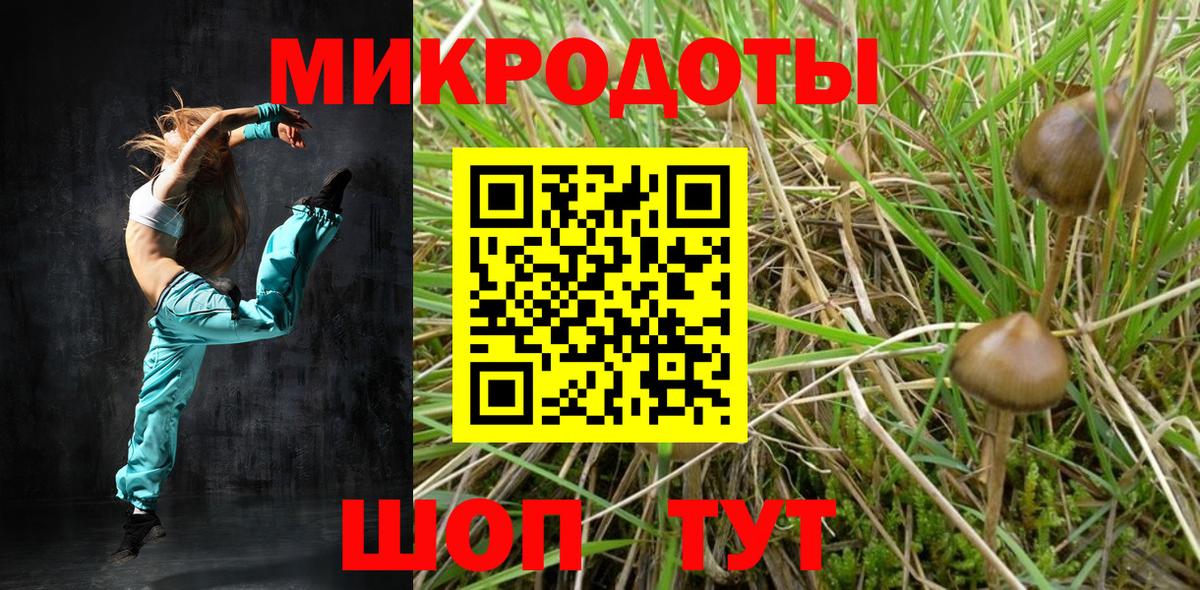 Галлюциногенные грибы мухоморы Строитель