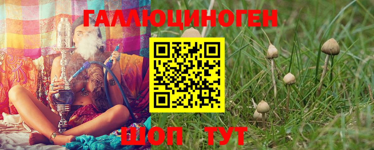 Псилоцибиновые грибы GOLDEN TEACHER  Вход с VPN  Строитель 